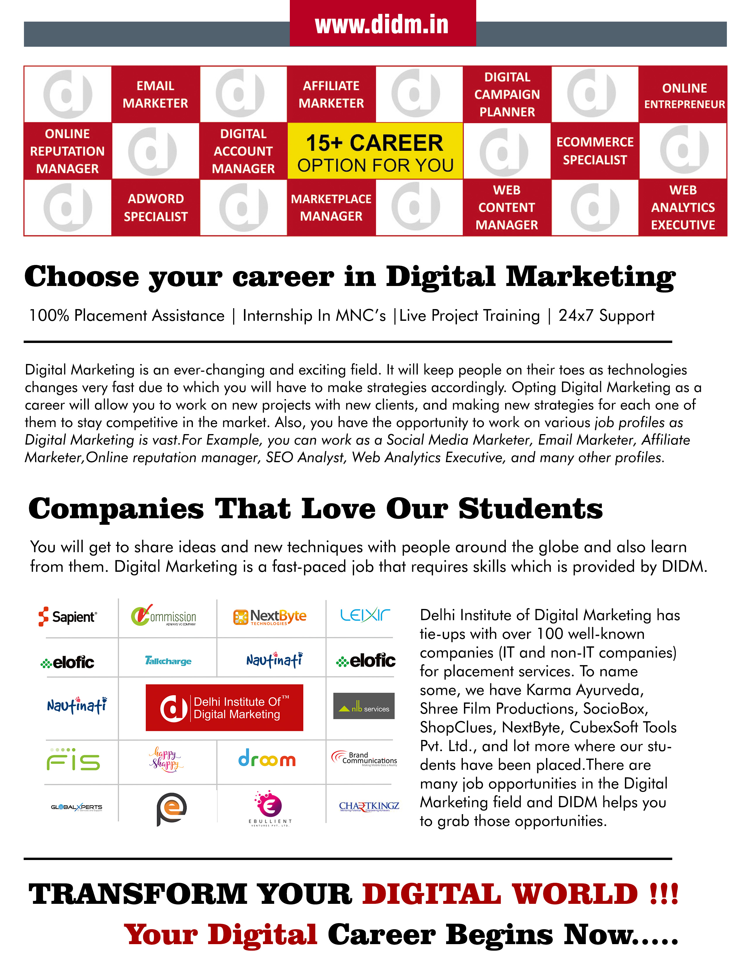 digital marketing career option